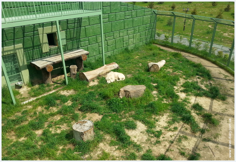 животные зоопарка 12 месяцев фото