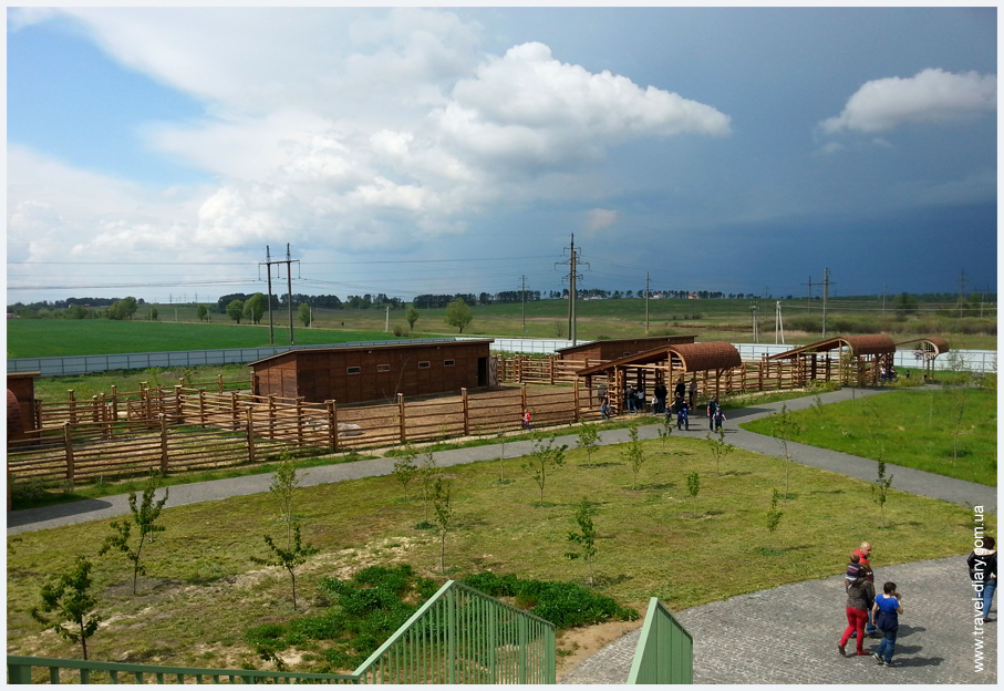 зоопарк 12 месяцев фото