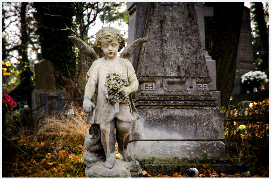 Лычаковское кладбище во Львове