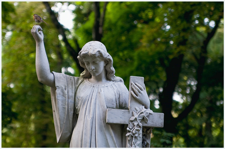 Лычаковское кладбище фото