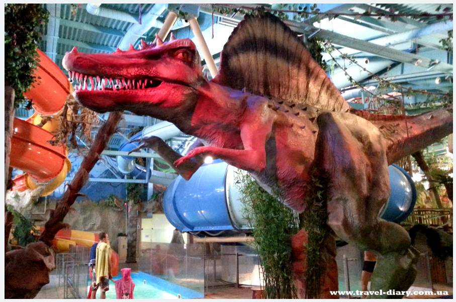 киев аквапарк дрим таун фото