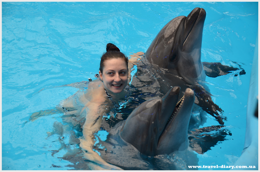 плавание с деньфинами в дельфинарии Немо фото, отзыв