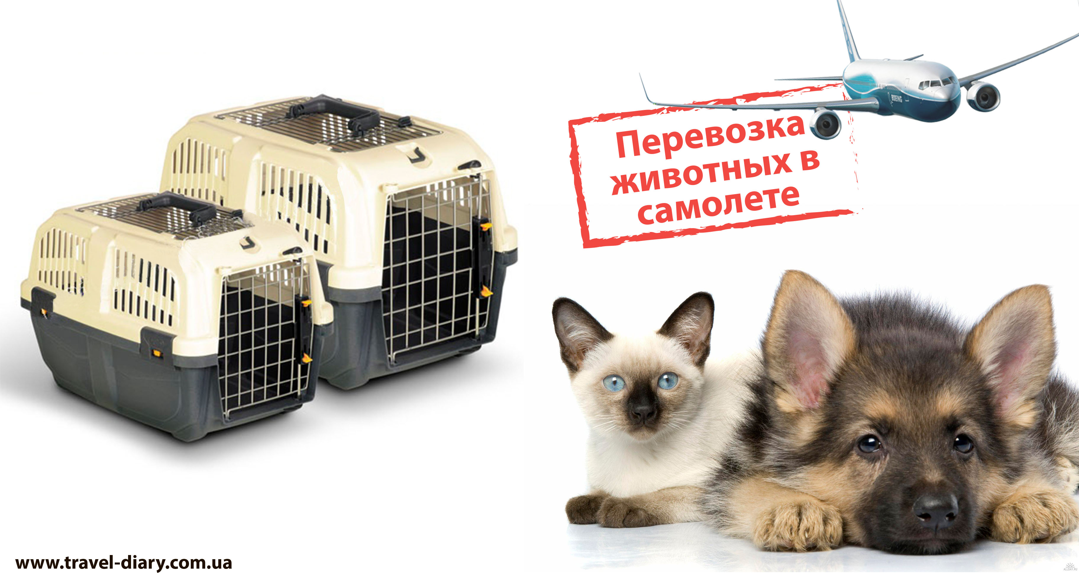 перевозка животных в самолёте