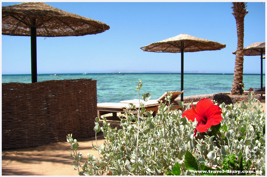 Отдых на красном море