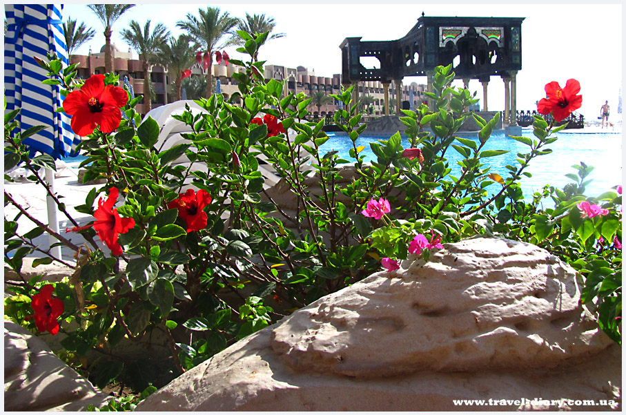 Отдых на Красном море