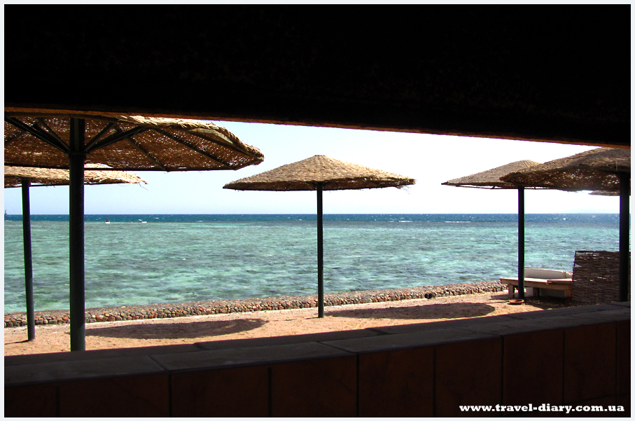 Отдых на красном море фото