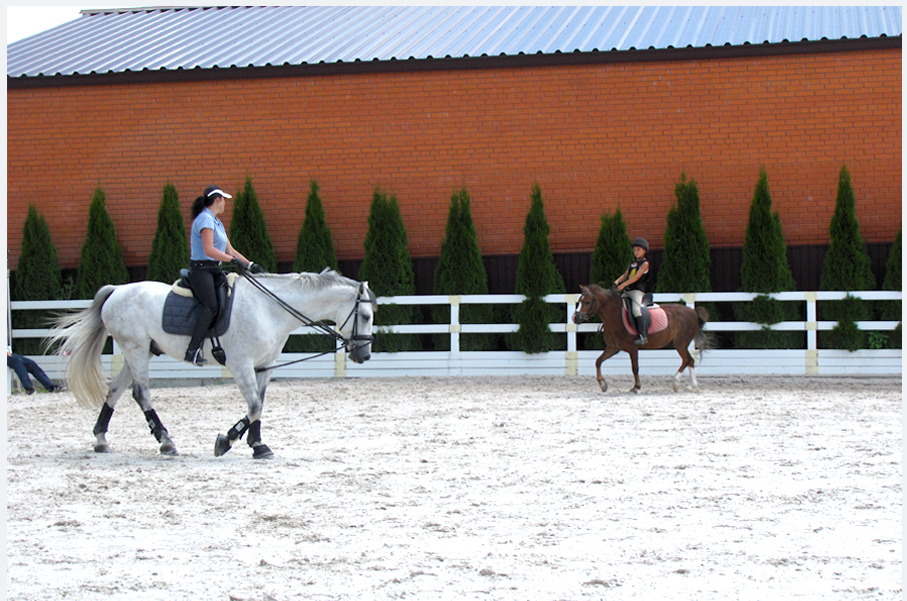 Жашковский конный завод