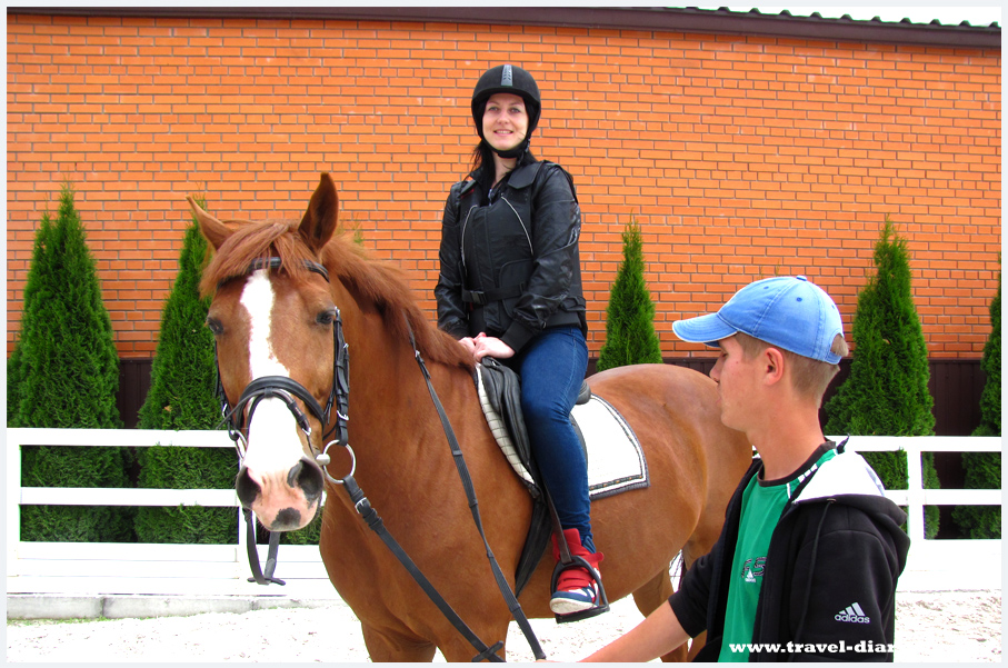 Жашковский конный завод