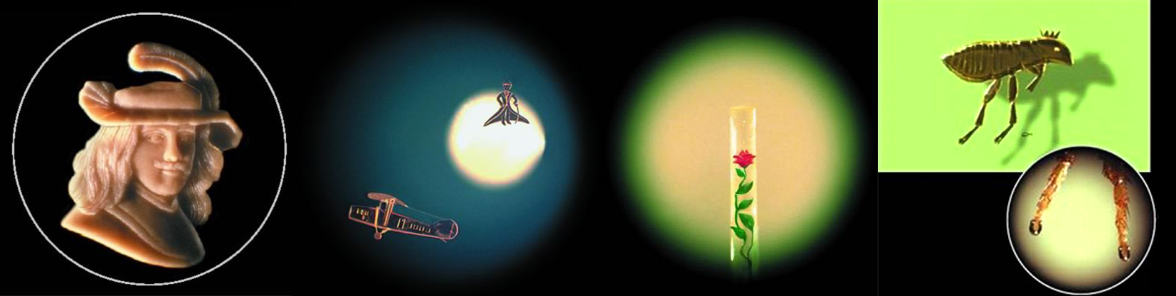 экспонаты музея микроминиатюры киев