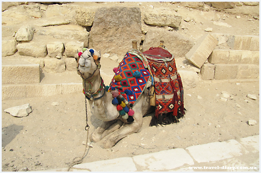 экскурсия на пирамиды Гиза отзывы