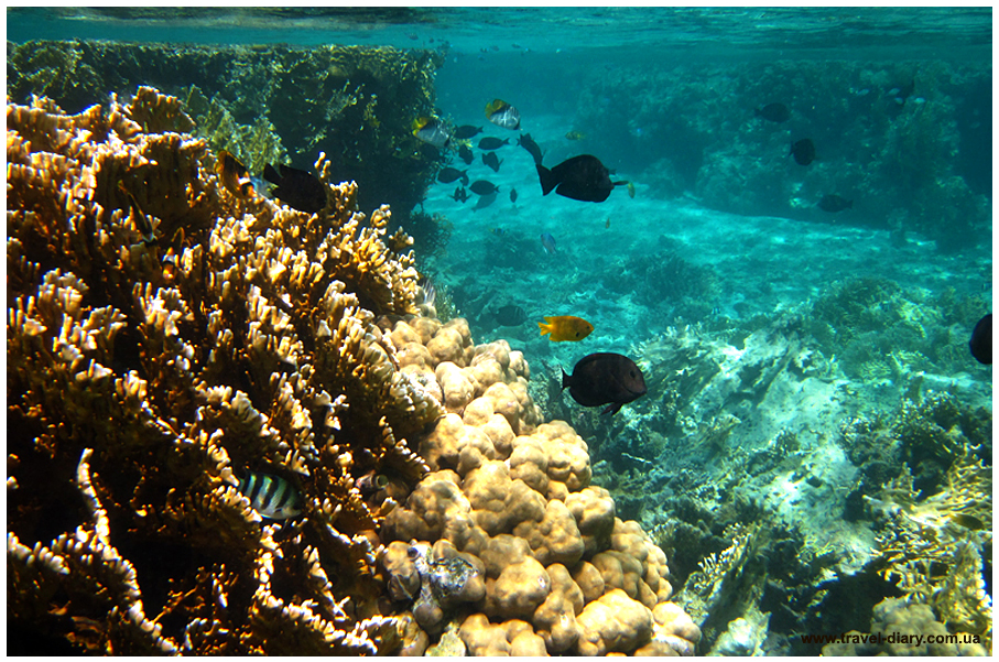 Снорклинг. Как выбрать маску, трубку и ласты