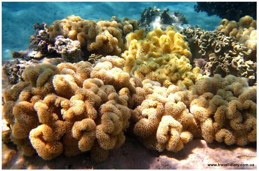 Снорклинг. Как выбрать маску, трубку и ласты