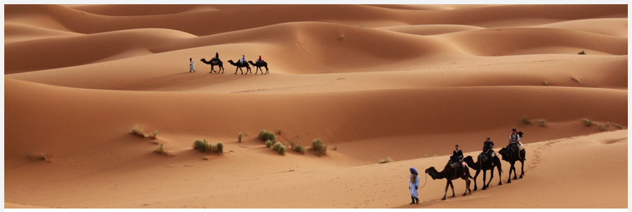 Полезные советы туристам в Египте