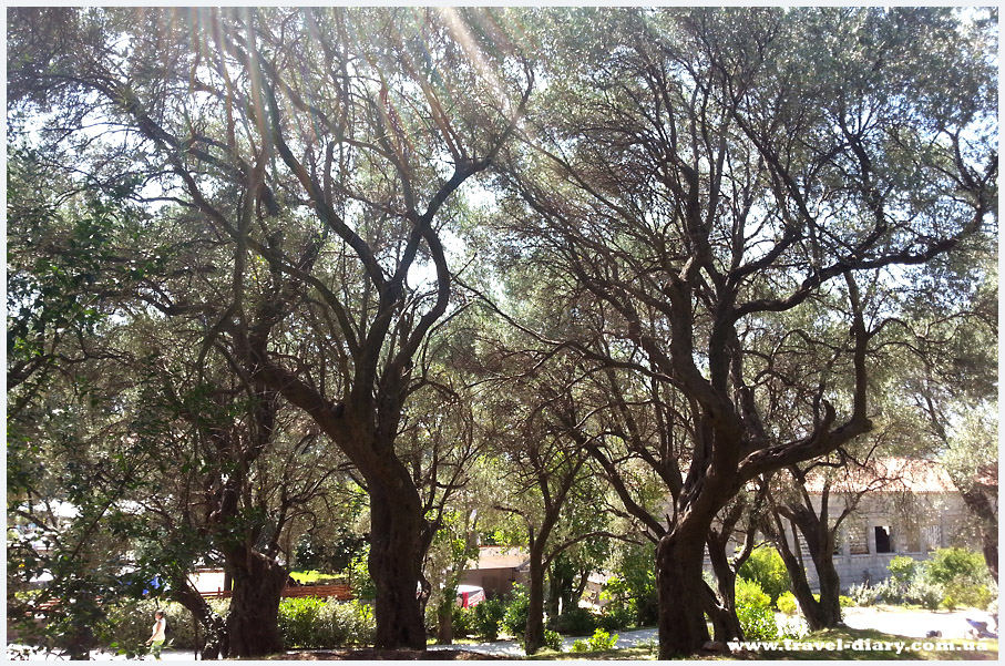 парк Милочер Черногория