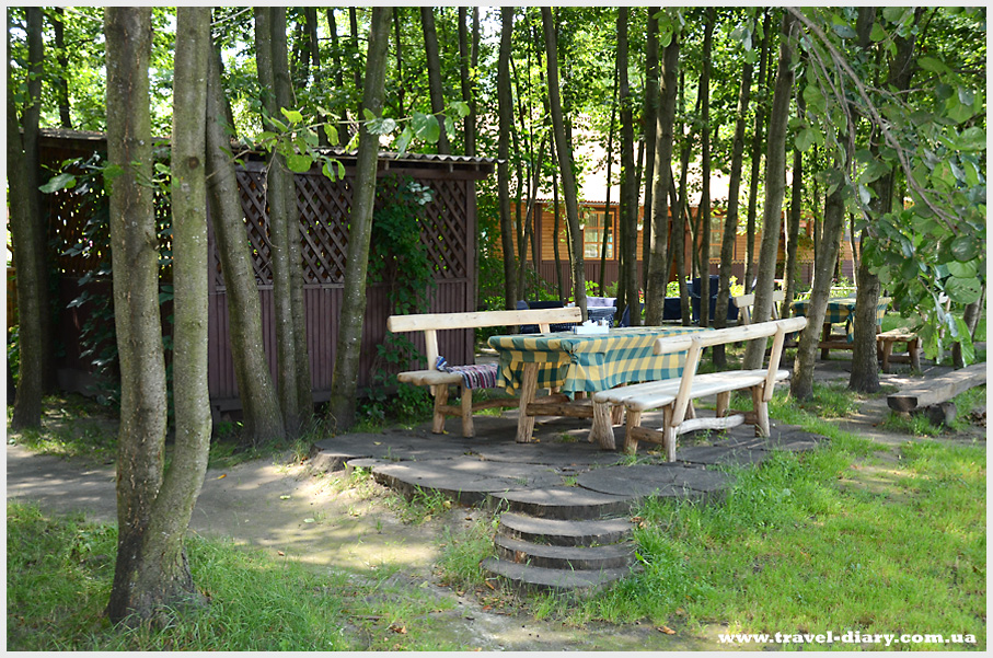 ферма страусов