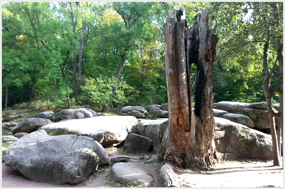 Дендропарк Софиевка