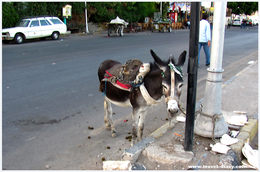 центр Хургада