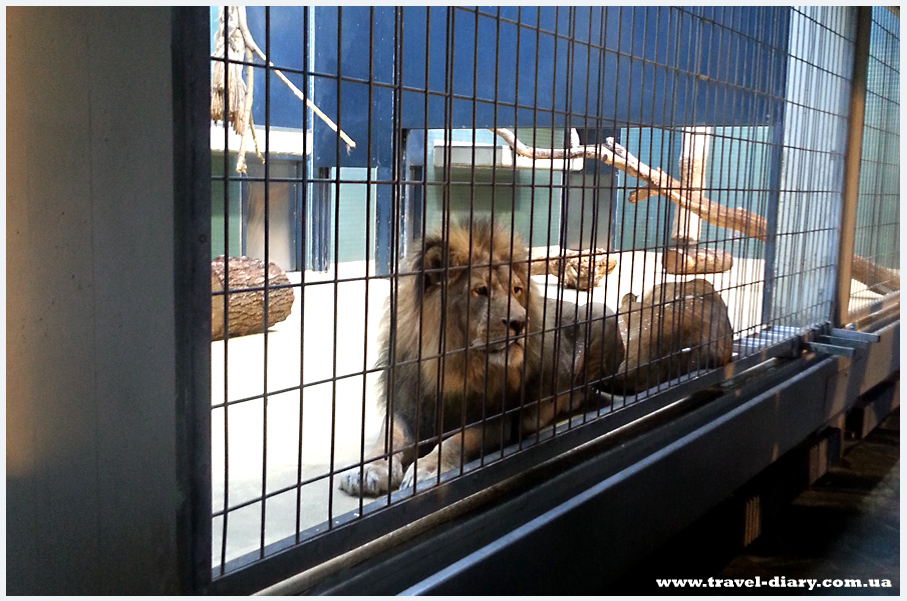 берлинский зоопарк отзывы